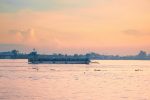 Selective Flood Insurance logo